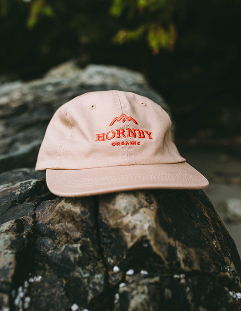 Hornby Organic Dad Hat - Main Image
