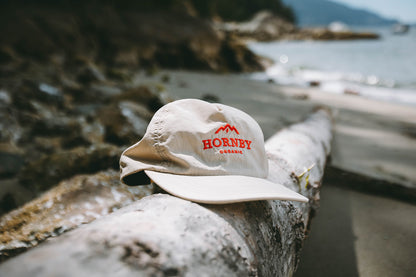 Hat on large log on beach