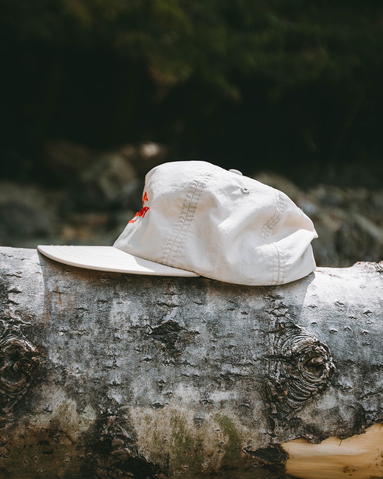 hat side view on large log