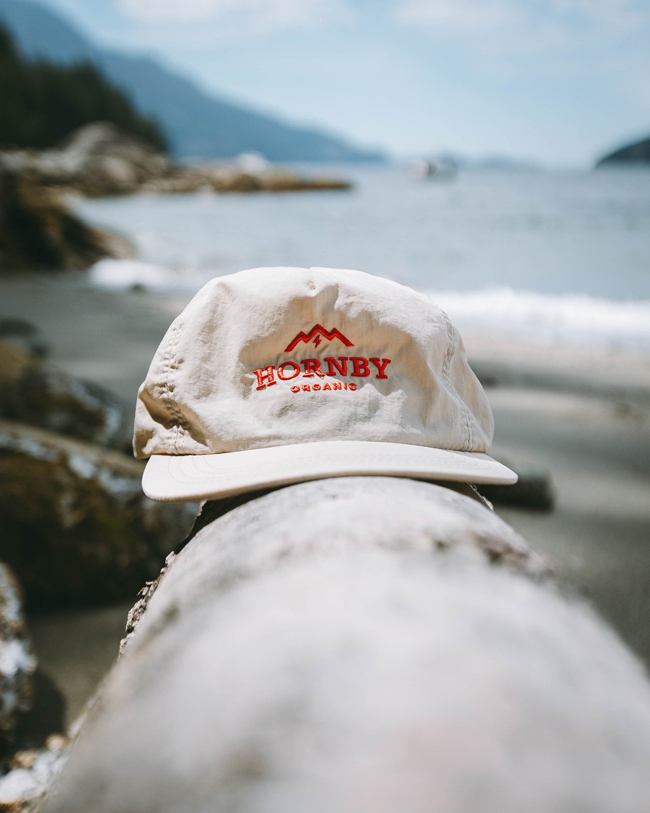 hornby organic front view dad hat